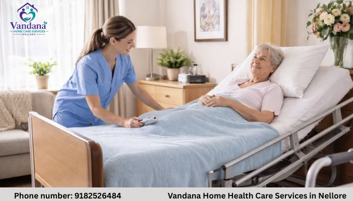 Specialized bedridden patient care services in Nellore including pressure sore prevention